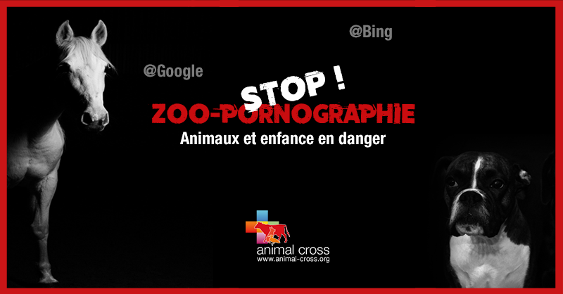 800px x 418px - Zoo Animal Porno Twitter 131 Zoo Gay Animal Sex Petlust.