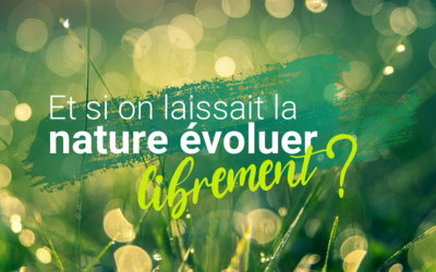 Et si on laissait la nature évoluer librement ?