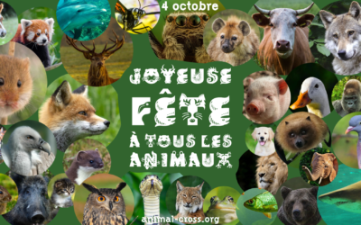 Joyeuse fête à tous les animaux !