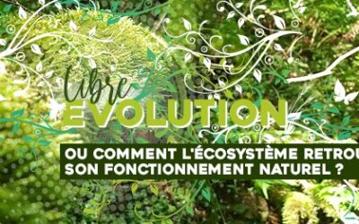 Conférence : la libre évolution, ou comment l’écosystème retrouve son fonctionnement naturel ? 24/09/22 à Pau