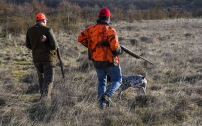 Mission Sécurisation de la Chasse du Sénat – Les associations de victimes de la chasse et de défense des animaux dénoncent un rapport indécent et demandent une action gouvernementale rapide