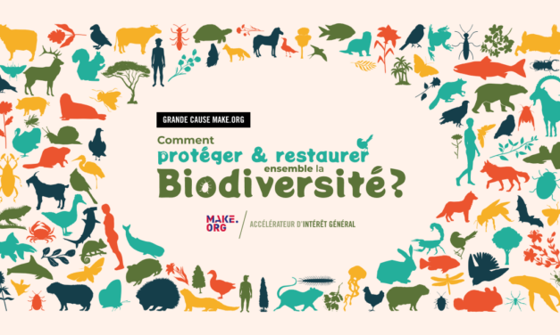 Comment protéger et restaurer ensemble la biodiversité ?