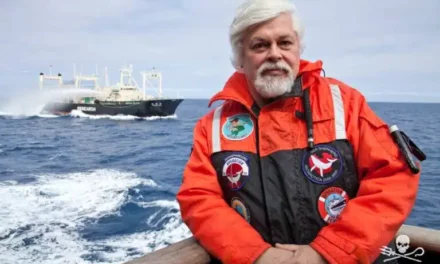 Arrestation de Paul Watson : Animal Cross demande sa libération immédiate