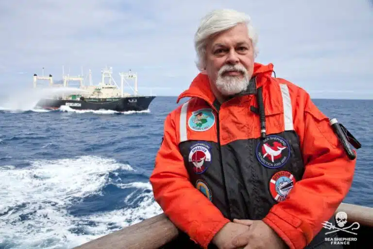 Arrestation de Paul Watson : Animal Cross demande sa libération immédiate