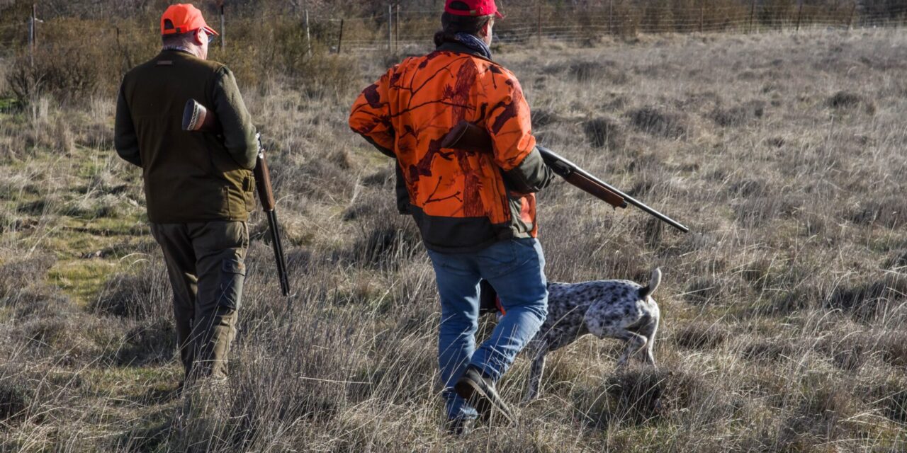 Consultation du public sur la chasse dans les Pyrénées-Atlantiques : répondez avant le 27 août