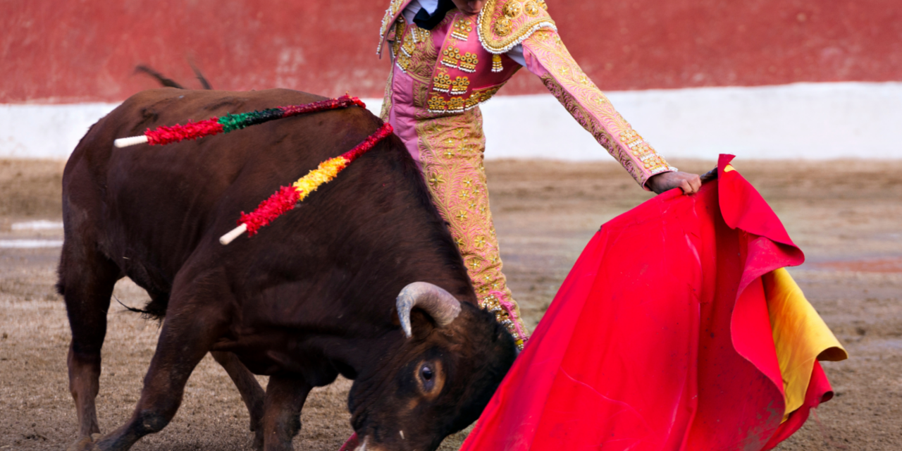 Une proposition de loi pour interdire la corrida aux mineurs