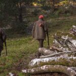 Consultation publique : Vers l’interdiction de la chasse sur le lit de la rivière Drôme dans la Réserve des Ramières (26)