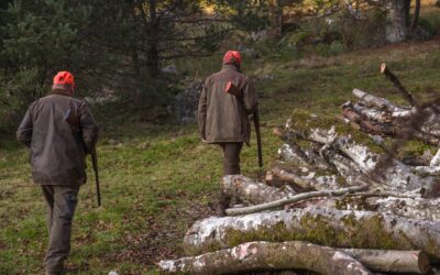 Consultation publique : Vers l’interdiction de la chasse sur le lit de la rivière Drôme dans la Réserve des Ramières (26)