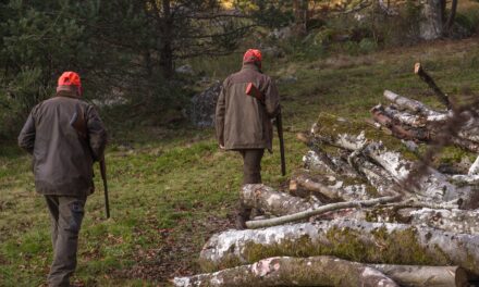 Consultation publique : Vers l’interdiction de la chasse sur le lit de la rivière Drôme dans la Réserve des Ramières (26)