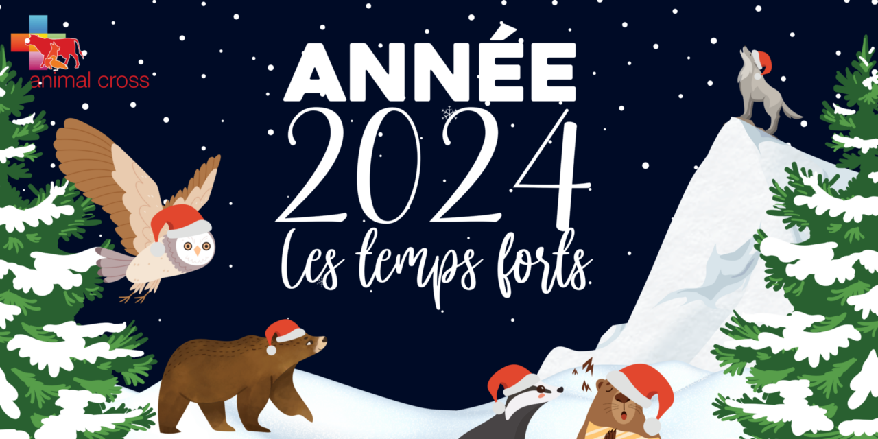 2024 : LES TEMPS FORTS