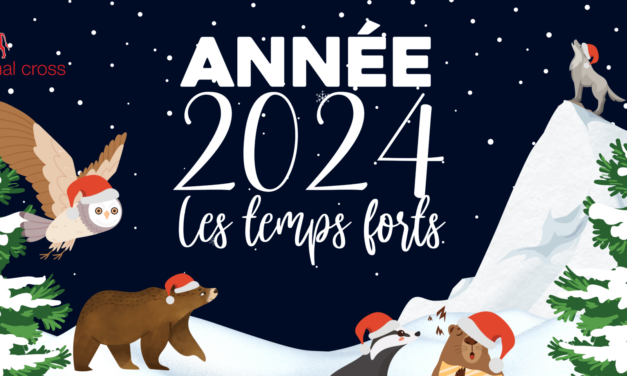 2024 : LES TEMPS FORTS