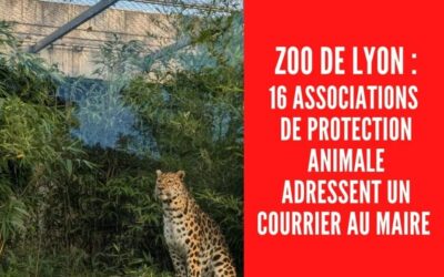 Zoo de Lyon : 16 associations de protection animale adressent un courrier au maire