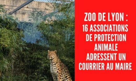 Zoo de Lyon : 16 associations de protection animale adressent un courrier au maire