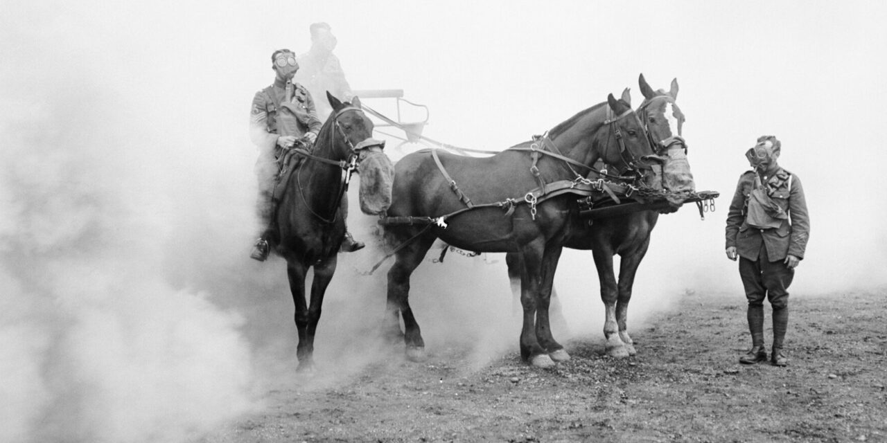 11 novembre : rendons hommage aux animaux de guerre