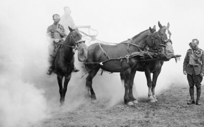 11 novembre : rendons hommage aux animaux de guerre