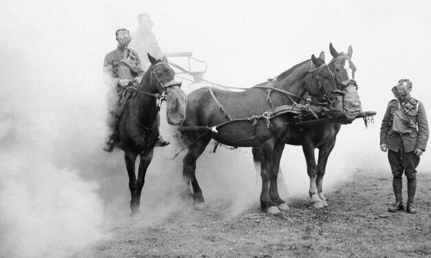 11 novembre : rendons hommage aux animaux de guerre