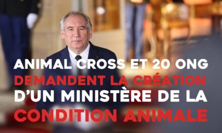 Animal Cross et 20 ONG demandent la création d’un ministère de la Condition animale !