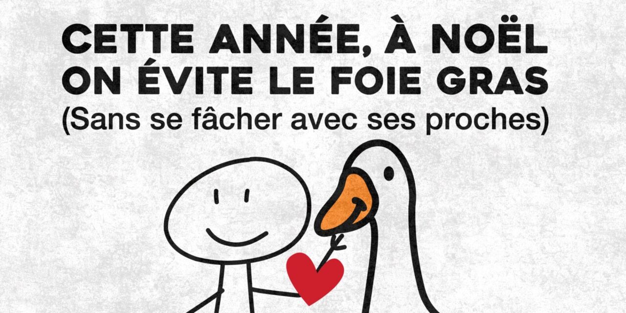 Cette année, à Noël, on pense aux animaux : on évite le foie gras…