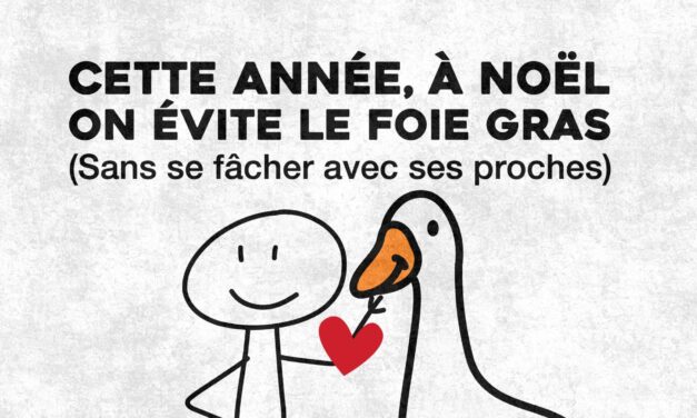 Cette année, à Noël, on pense aux animaux : on évite le foie gras…