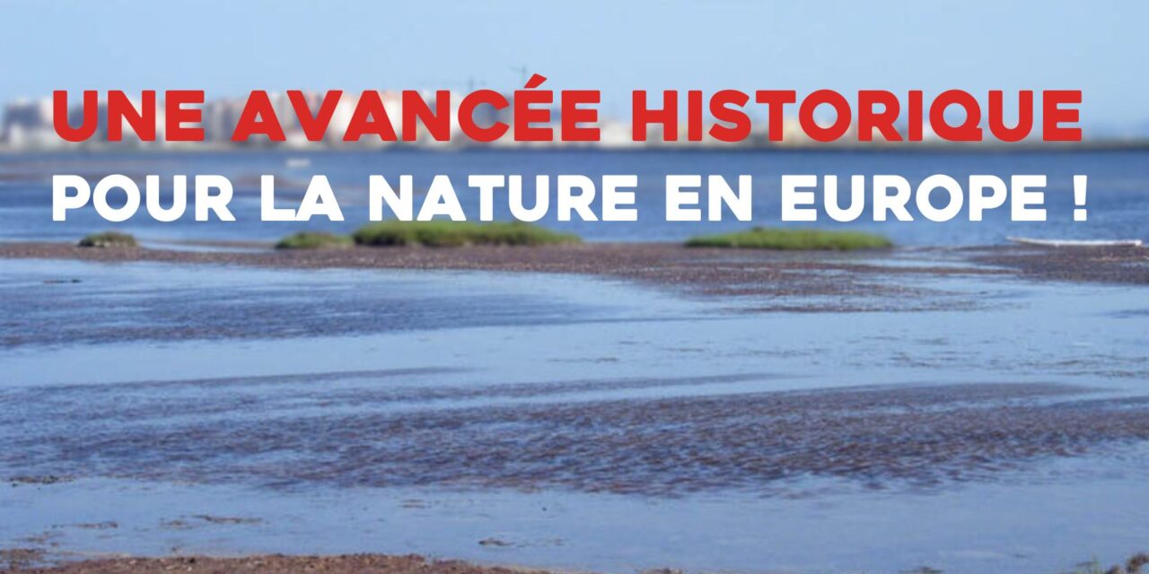 Animal Cross salue une avancée historique pour la nature en Europe !