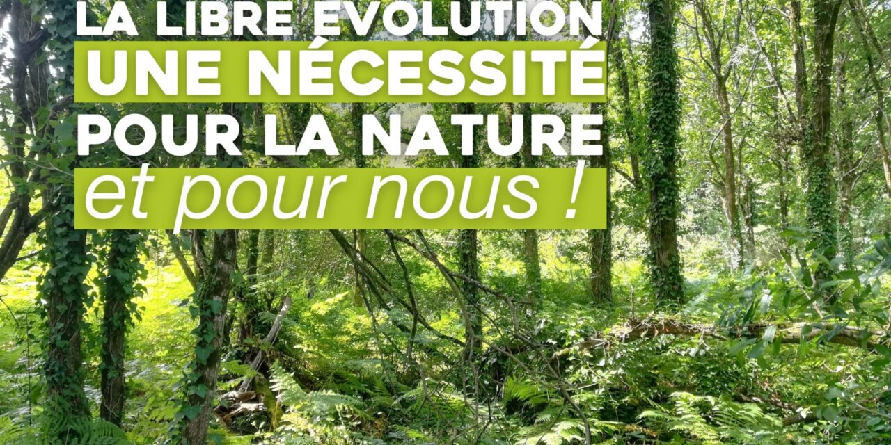 La Libre évolution : une nécessité pour la nature… et pour nous !