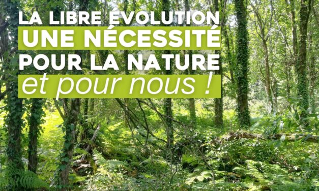 La Libre évolution : une nécessité pour la nature… et pour nous !